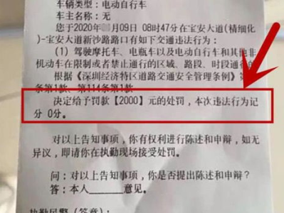 “2000万投资项目突遭强拆：口头告知背后的无奈与争议”