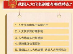 揭秘鉴假货技巧：新闻发布会上学到的实用知识