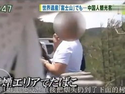“越南游客在日本遭掌掴事件引发国际关注”